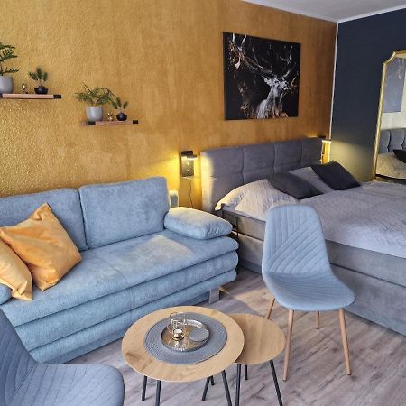 Apartment Am Bocksberg II Γκόσλαρ Εξωτερικό φωτογραφία