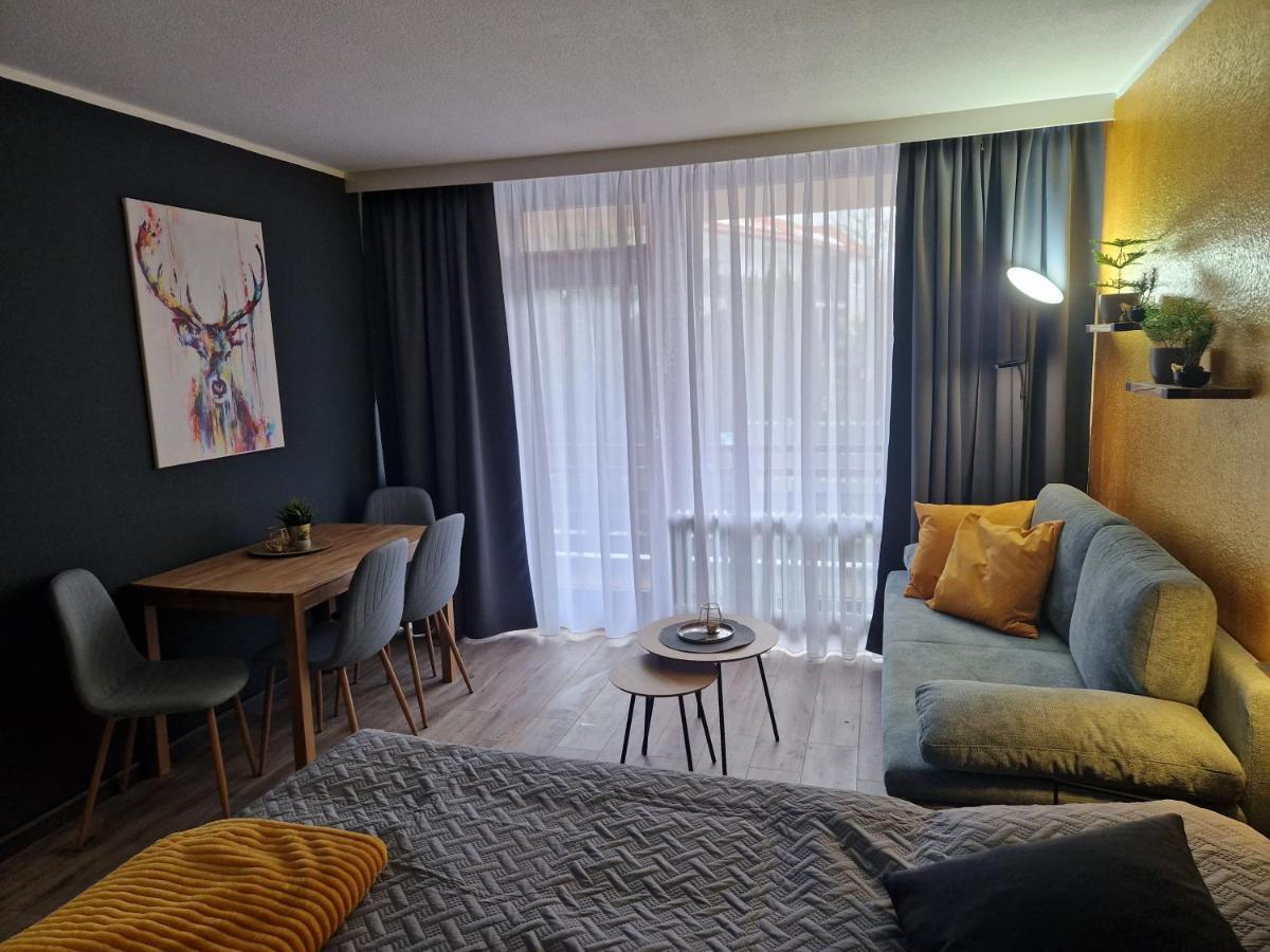 Apartment Am Bocksberg II Γκόσλαρ Εξωτερικό φωτογραφία