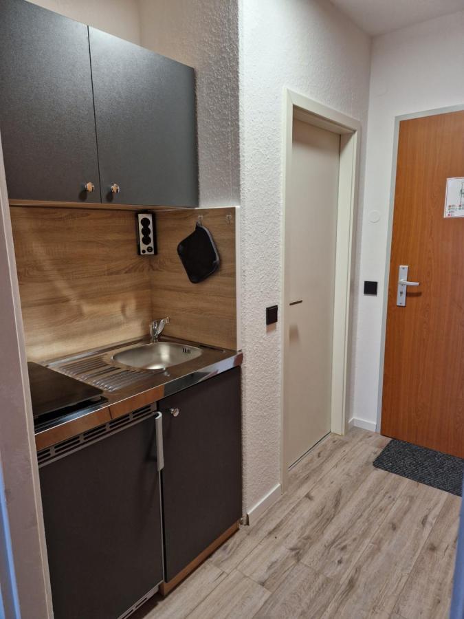 Apartment Am Bocksberg II Γκόσλαρ Εξωτερικό φωτογραφία