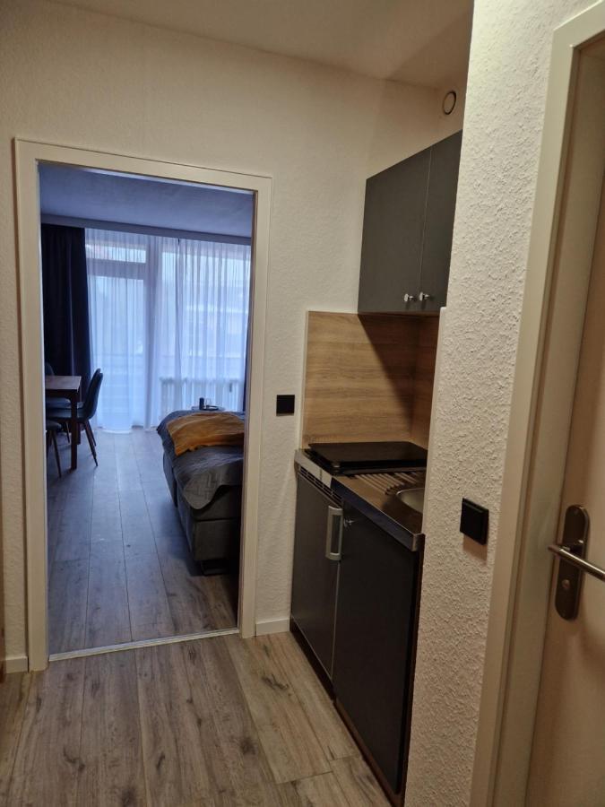 Apartment Am Bocksberg II Γκόσλαρ Εξωτερικό φωτογραφία
