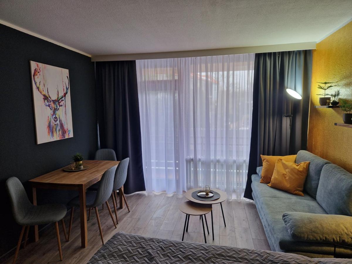 Apartment Am Bocksberg II Γκόσλαρ Εξωτερικό φωτογραφία