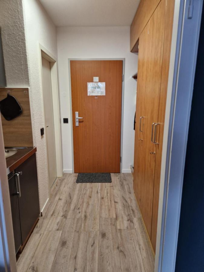 Apartment Am Bocksberg II Γκόσλαρ Εξωτερικό φωτογραφία